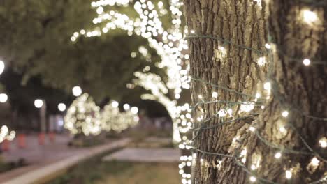 Nahaufnahme-Eines-Baumes-Mit-Weihnachtsbeleuchtung