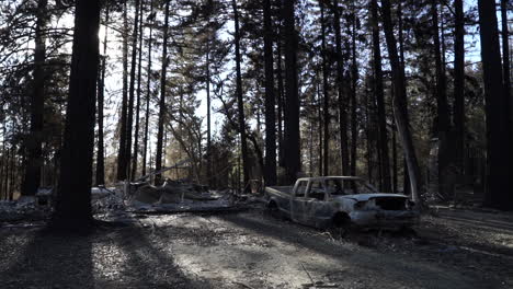 The-aftermath-of-Valley-Fire,-2015,-Lake-County,-California