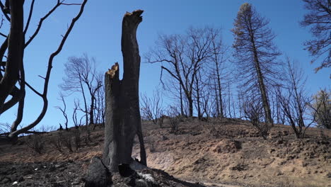 Die-Nachwirkungen-Des-Feuers-Im-Tal,-2015,-Lake-County,-Kalifornien