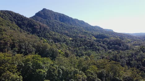 Majestätische-Berge-Voller-üppiger-Bäume-Gegen-Sonnenlicht---Dichter-Wald-In-Mount-Cougal,-Einem-Nationalpark-Im-Currumbin-Valley,-Queensland---Breite-Aufnahme