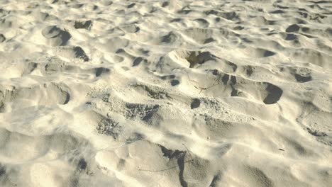 Weißer-Sandstrand---Fußspuren---Spuren---Palm-Beach,-Gold-Coast,-Australien