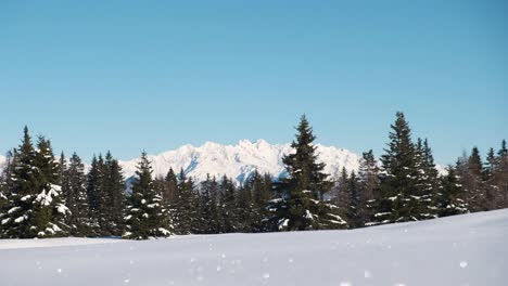 Schneebedeckte-Berglandschaft-Mit-Bäumen-Und-Gutem-Wetter