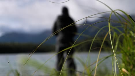 Blurry-person-stands-alone-in-nature,-focus-on-tall-grass-in-foreground