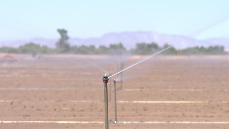 Sprinkler-irrigation-in-Imperial-Valley,-Southern-California