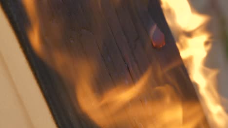Fireplace-with-Burning-Wood-Log-Cracking,-Close-Up