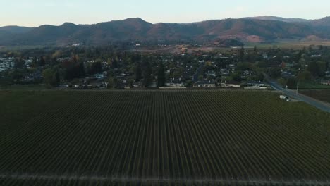 Aerial-dolly-down-near-small-town-in-the-Napa-valley