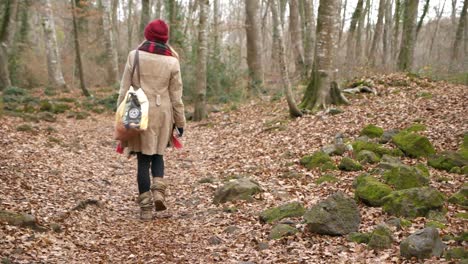 Back-view-of-woman-walking-alone-in-beech-wood-in-winter