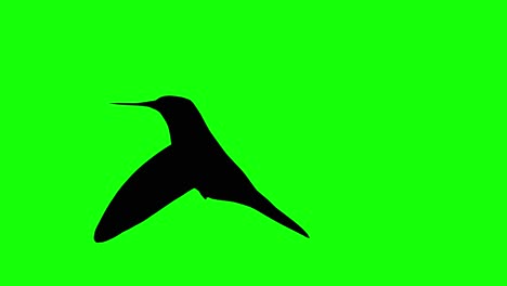 Silhouette-of-a-hummingbird-flying-flapping,-on-green-screen,-side-view