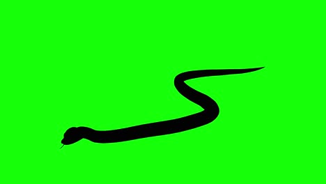 Silhouette-of-a-snake-crawling,-on-green-screen,-perspective-view