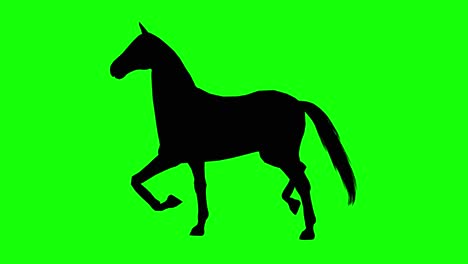 Silhouette-of-a-horse-canter,-on-green-screen,-side-view