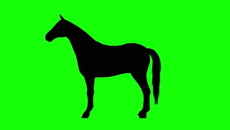 Silhouette-of-a-horse-grazing-looking-around,-on-green-screen,-side-view