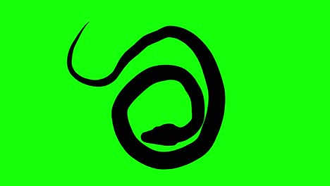 Silhouette-of-a-snake-idle,-on-green-screen,-top-view