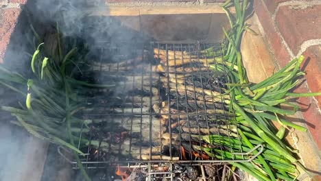 Delicious-tasty-roasted-calcots-cooking-over-rustic-barbeque-grill-flames