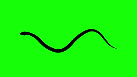 Silhouette-of-a-snake-crawling,-on-green-screen,-top-view