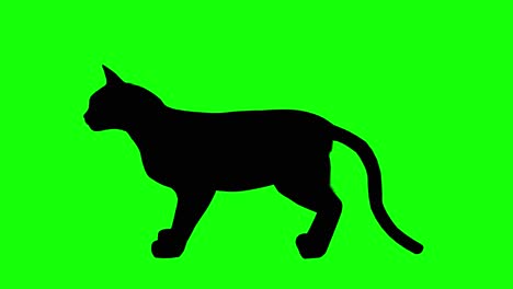 Silhouette-of-a-cat-meowing,-on-green-screen,-side-view