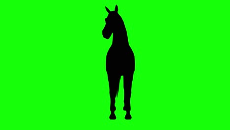 Silhouette-of-a-horse-resting-looking-right,-on-green-screen,-front-view