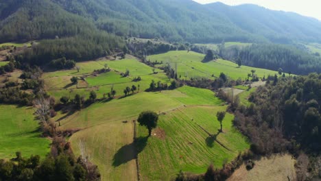 Aerial-view-of-green-plateau