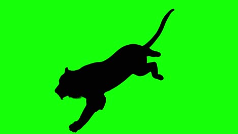 Silhouette-of-a-tiger-running,-on-green-screen,-perspective-view