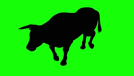 Silhouette-of-a-bull-walking,-on-green-screen,-perspective-view