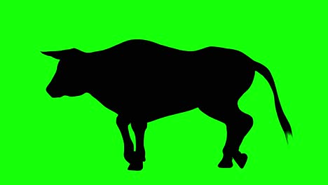 Silhouette-of-a-bull-walking,-on-green-screen,-side-view
