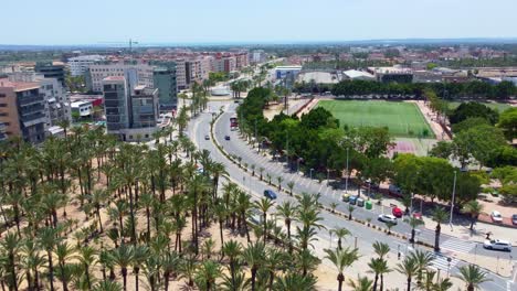Luftaufnahme-Von-Palmen-Im-Hort-Del-Torreret-Park-Mit-Blick-Auf-Den-Fußballplatz-In-Ciutat-Esportiva-Juan-Angel-Romero-In-Elche,-Valencianische-Gemeinschaft,-Spanien