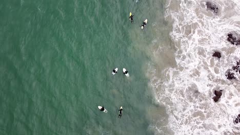 Aerial---birds-eye-drone-shot-tracking-surfers-paddling-in-ocean-swell-in-Tasmania