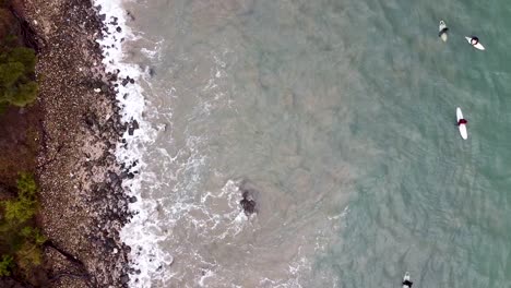 Antenne---Aufsteigende-Vogelperspektive-Drohnenaufnahme-Von-Surfern-In-Der-Ozeandünung-In-Tasmanien