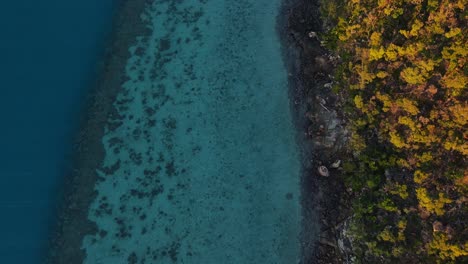 Luftaufnahme-Des-Klaren-Blauen-Wassers-Des-Fjords-Auf-Hook-Island---Malerische-Insel-Am-Whitsunday,-Qld,-Australien