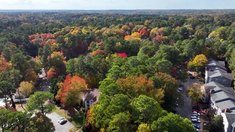 Lebendige-Herbstblätter-Im-Herbst-Wechselnde-Farbe-Drohnenüberführung-Der-Nachbarschaft