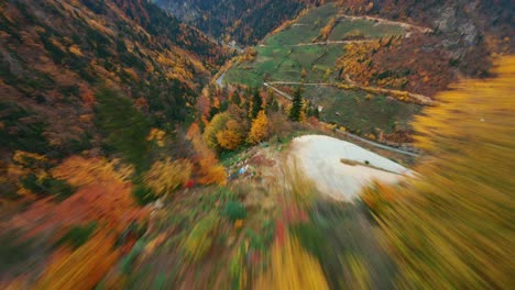 FPV-motion-flight-in-cinematic-wonderful-wild-forest-trees-environment-on-autumn-season