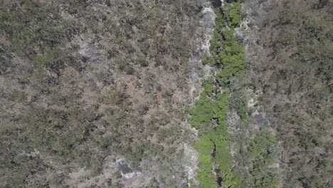 Luftbild-Von-Davies-Creek-Und-Bare-Hill-Conservation-Park-In-Queensland,-Australien