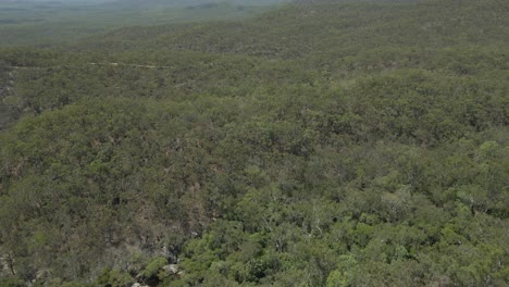 Luftaufnahme,-Die-über-Bäume-Und-Nationalpark-Im-Bare-Hill-Conservation-Park-Qld-Australien-Fliegt