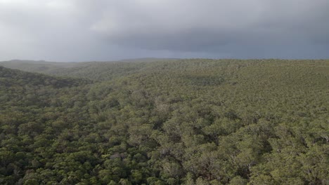 Dense-Forest-And-Lush-Hills-In-North-Stradbroke-Island,-Queensland,-Australia---aerial-drone-shot