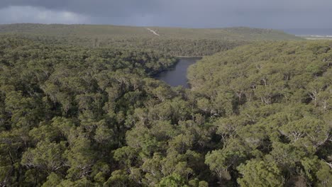 Lago-Azul-En-Medio-De-Una-Densa-Espesura-En-La-Isla-De-North-Stradbroke-En-Queensland,-Australia