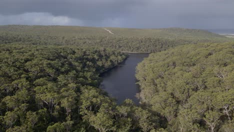 Vista-Of-Evergreen-Rainforest-At-The-Blue-Lake-National-Park-On-North-Stradbroke-Island-In-Queensland,-Australia