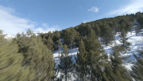 Risky-racing-drone-flight-over-snowy-landscape-and-forest-of-Pyrenees-mountains