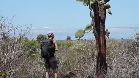 Male-Photographer-with-Backpack-Tourist-Taking-Photos-Of-Opuntia-Galapageia-In-Santa-Cruz-In-The-Galapagos