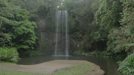 Millaa-Millaa-Falls,-Heritage-listed-Plunge-Waterfall-In-Far-North-Queensland,-Australia