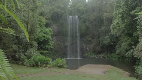 Helechos-Y-árboles-Verdes-En-La-Selva-Tropical-Con-Milla-Milla-Falls-En-Queensland,-Australia
