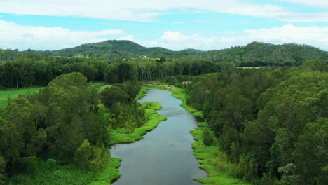 4K-Aerial-Drone-Flyover-Of-Vibrant-Green-Bush-And-Creek-In-Australian-Countryside