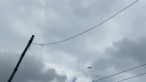 Vögel-Schweben-über-Den-Alten-Stromleitungen-In-Bangladesch