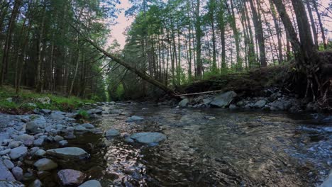 Beautiful-woodland-stream-time-lapse-in-the-dense-Appalachian-forest-during-summer,-often-used-for-trout-fishing