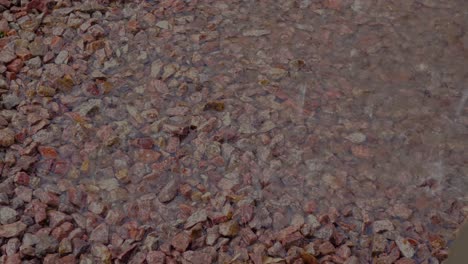 slow-motion-footage-of-rain-falling-on-a-bed-of-red-rocks