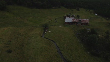 Aerial-shot-of-house-in-farmland-in-Norway-and-cow-are-grazing-in-the-meadows