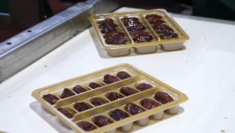 factory-worker-pick-premium-quality-tasty-Medjool-dates-trays-on-conveyor,-close-up