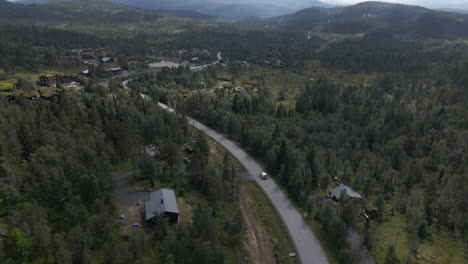 Aerial-shot-of-van-driving-in-the-road-between-the-pine-tree-forest