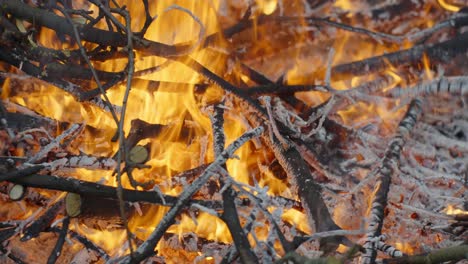Brennende-Äste-Nach-Baumschnitt-Im-Garten,-Nahaufnahme-Der-Flammen
