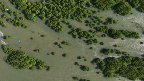 Drone-view---group-of-kitesurfers-navigating-through-mangroves-skilfully