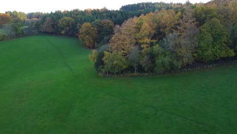 Schöne-Herbstbäume-Neben-üppigen-Grünen-Feldern-In-Englischer-Landschaft---Luftdrohne-Geschossen-Uk-4k