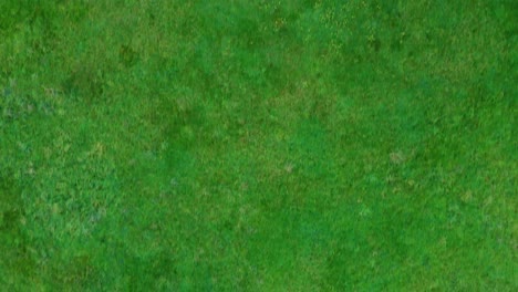 Top-Down-Aerial-Drone-Shot-of-Lush-Green-Fields-in-England-4K